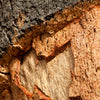 cork bark layers